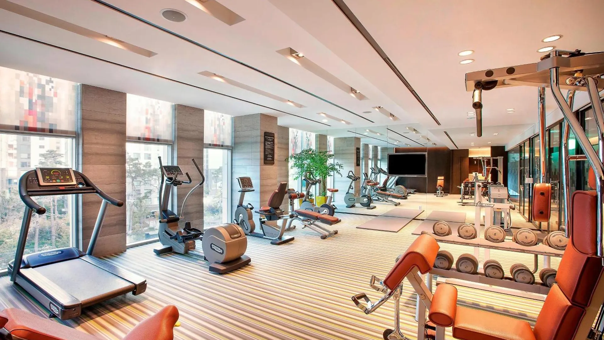 Hotel Aloft Seoul Gangnam