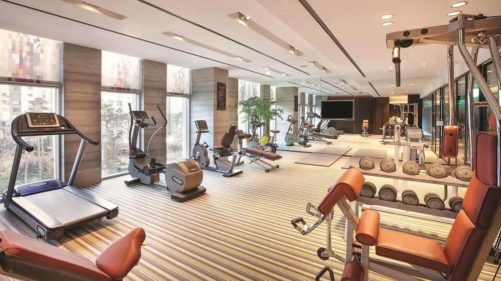 Hotel Aloft Seoul Gangnam Corée du Sud